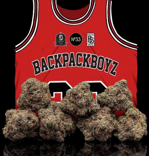 Buy Backpackboyz Online